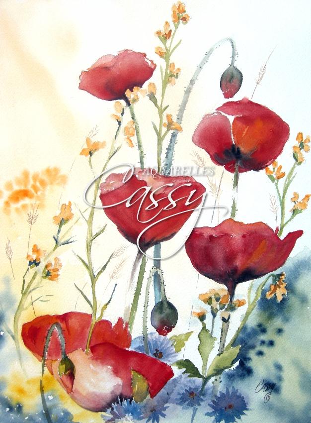 Coquelicots 41 cm X 31 cm